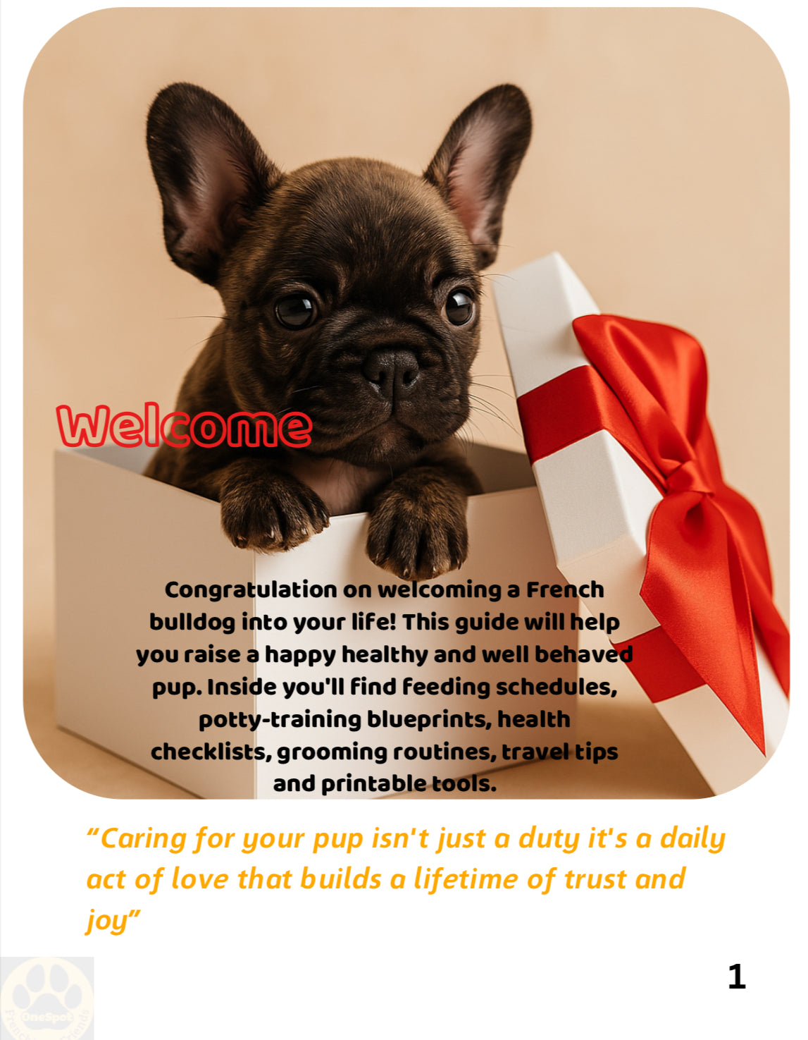 Frenchie Parent Starter Kit