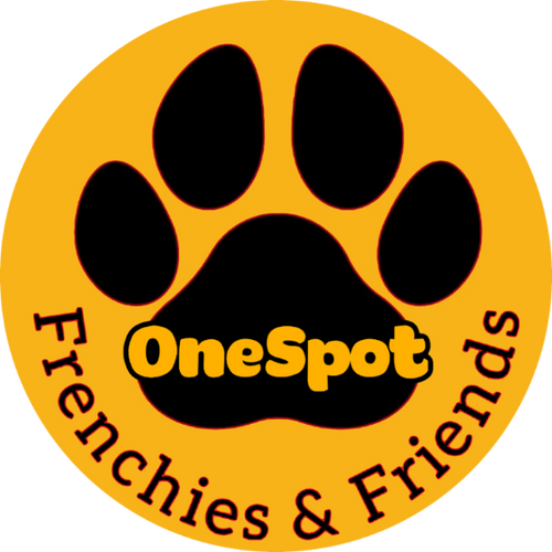 0neSpot logo