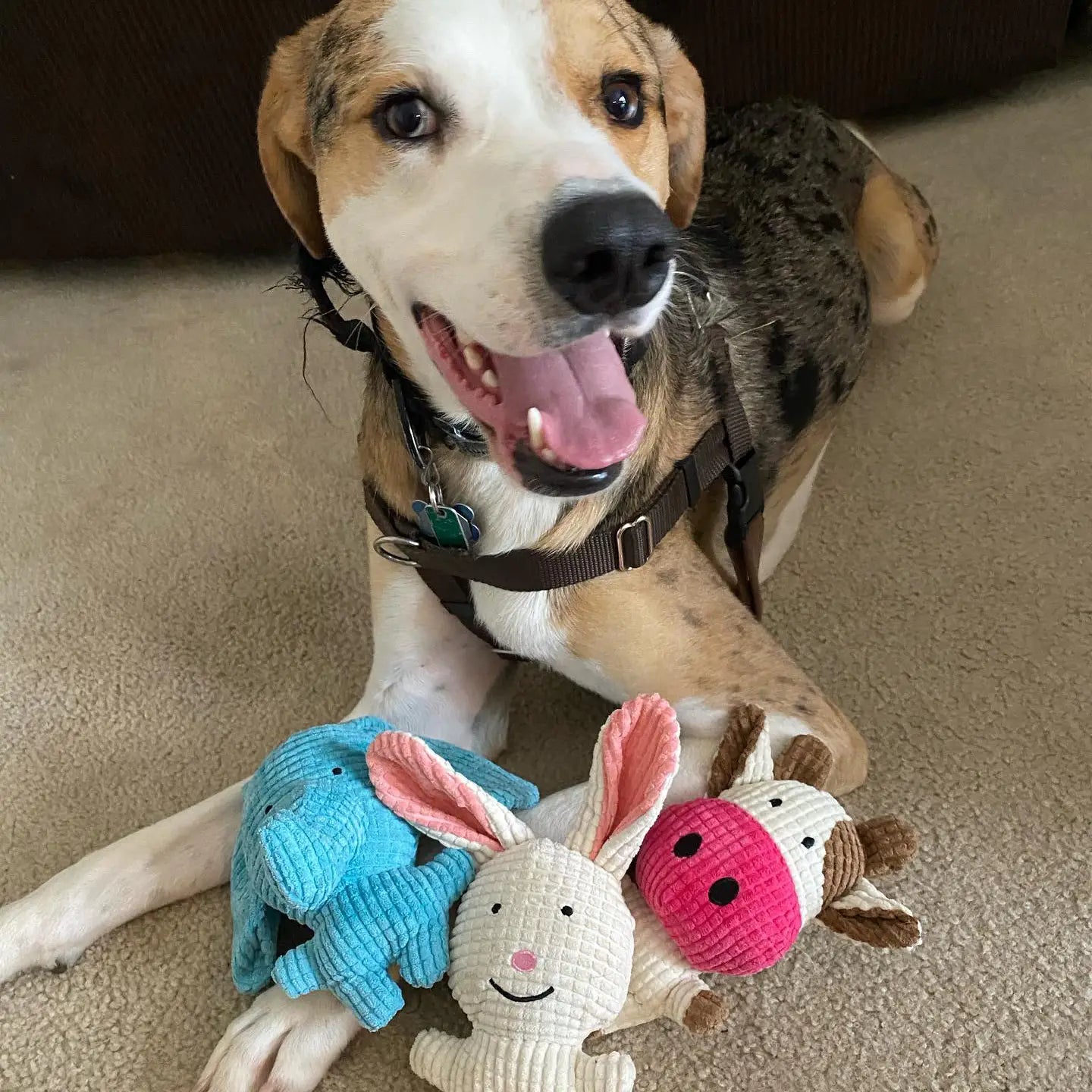 Cow Small Plush Toy