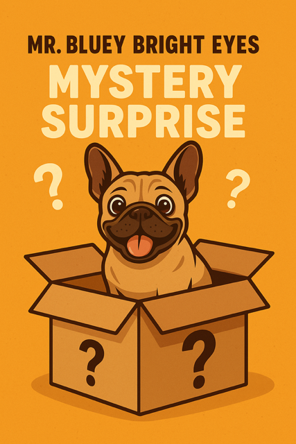 Mr. Bluey Bright Eyes Mystery Surprise