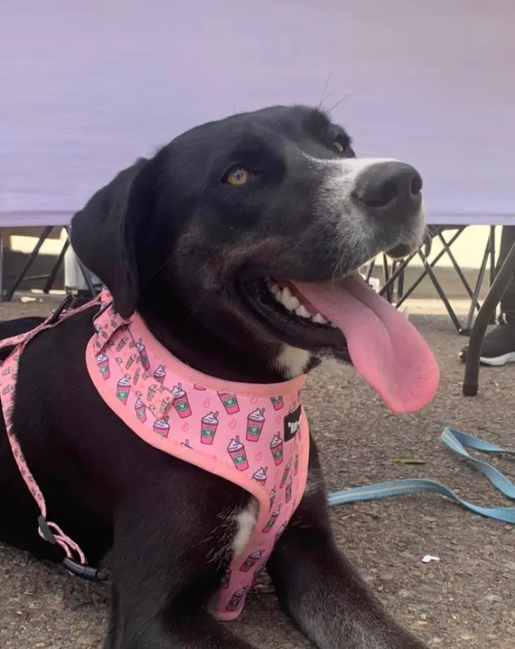 Pink Pupshake Adjustable Dog or Cat Harness