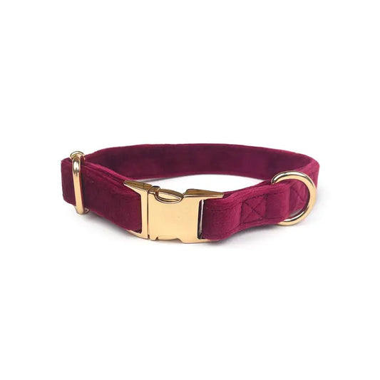 Velvet Dog Collar // Queen Bee