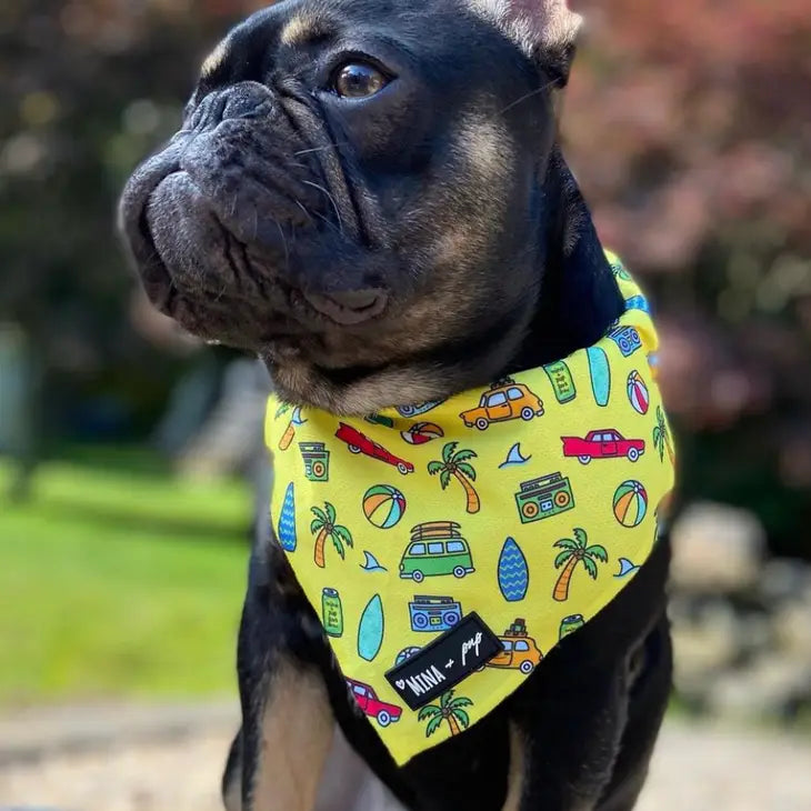 Beach Bum Tie On Bandana (also a cooling bandana)