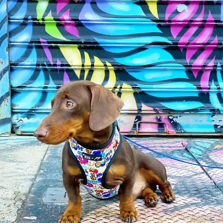 Colorful Graffiti Edition Adjustable Dog Harness