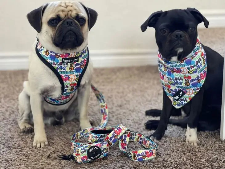 Colorful Graffiti Edition Adjustable Dog Harness