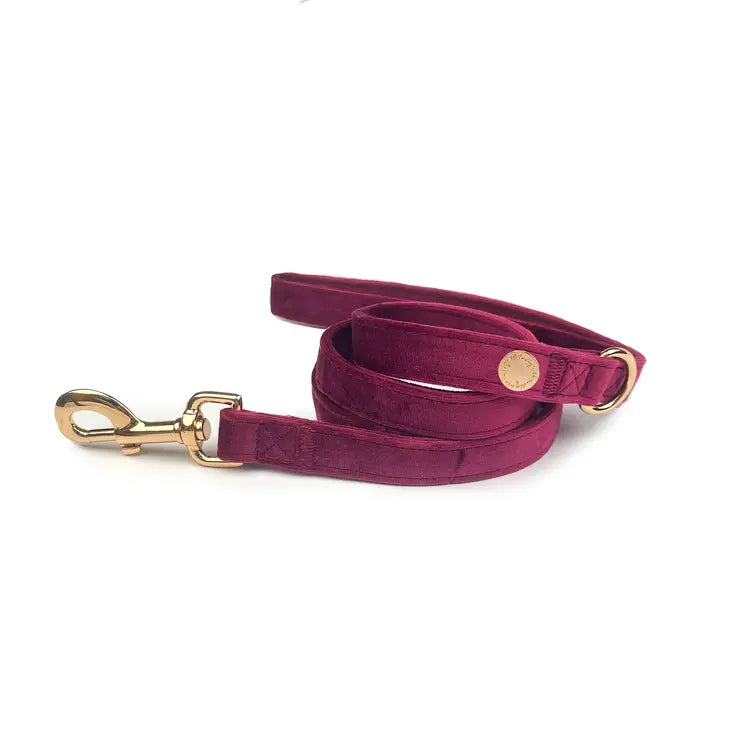 Velvet Dog Leash // Queen Bee