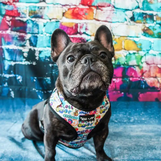 Colorful Graffiti Edition Adjustable Dog Harness