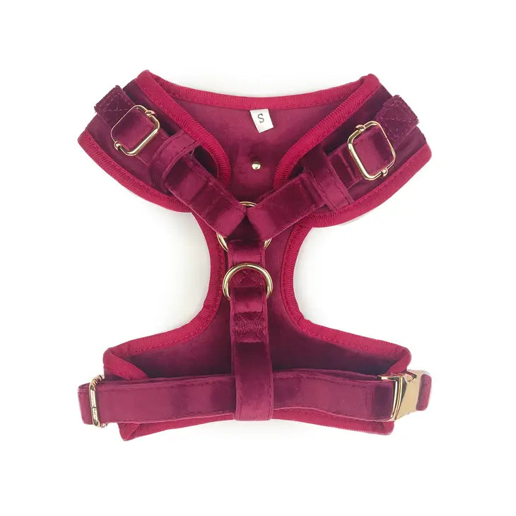 Velvet Dog Harness // Queen Bee