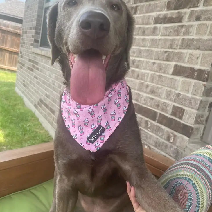 Pink Pupshake Cooling Tie On Dog Cat Bandana