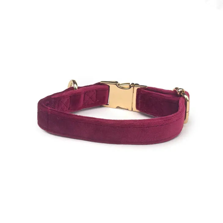 Velvet Dog Collar // Queen Bee