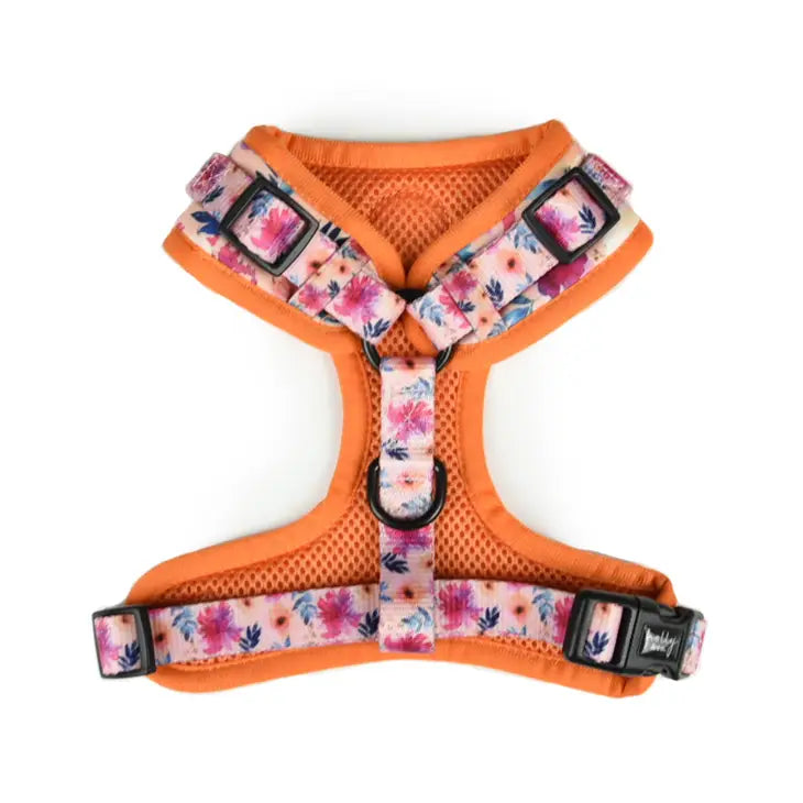 Dog Harness // Sweet Coraline